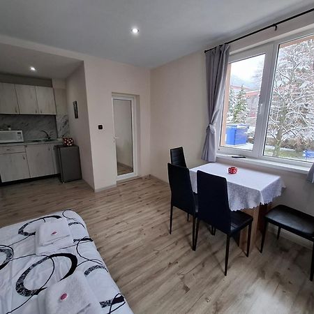 Bubolina House Hotel Szapareva Banja Kültér fotó